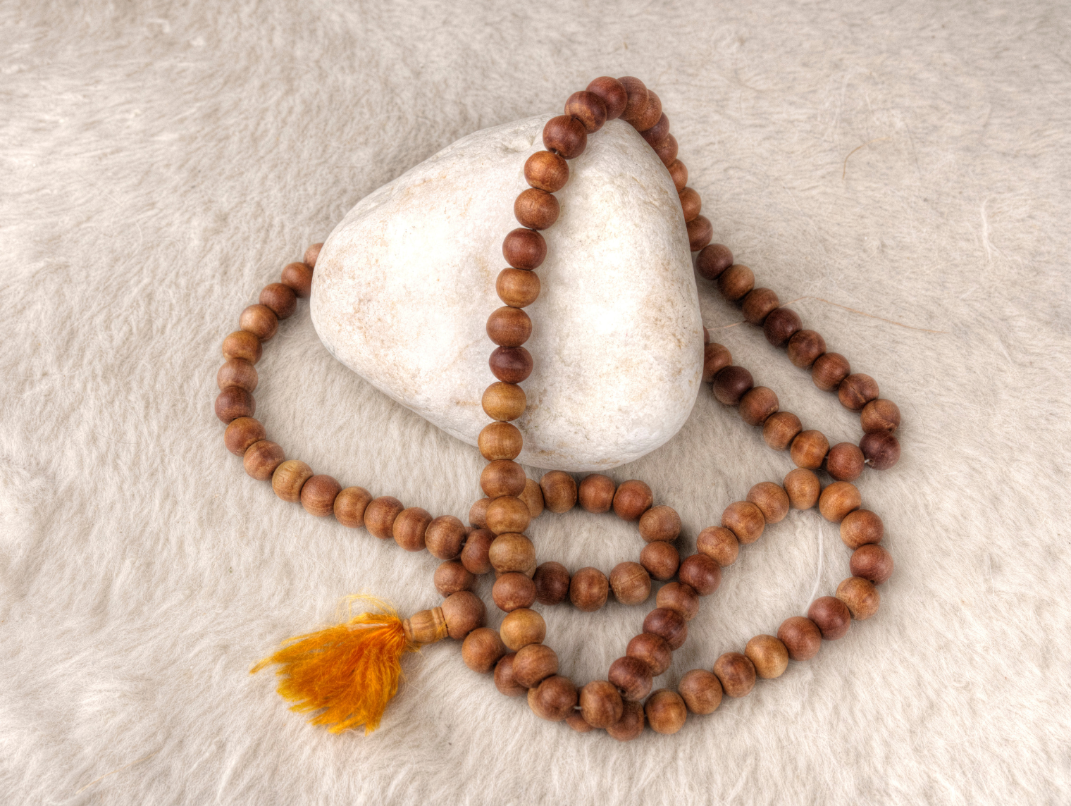 LIFE COACHING BHAKTIVEDANTA